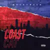 Meshy Mesh - Coast Cat - Single